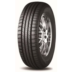 BOTO 225-65 Rin17 VANTAGE H-6